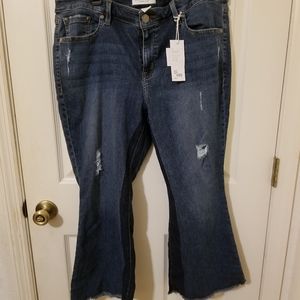 Lane Bryant Jeans SZ 16